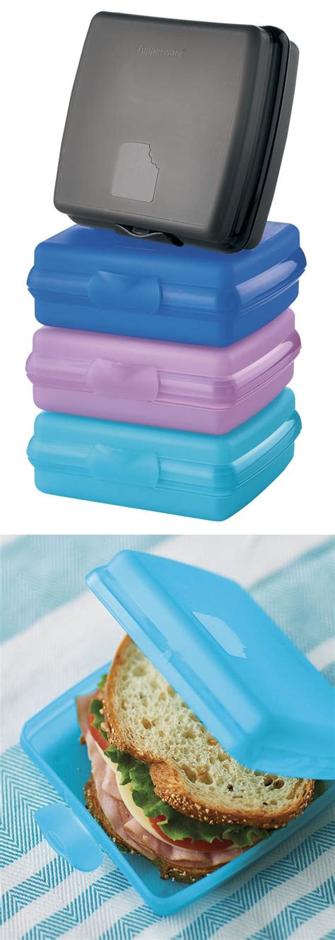 tupperware lunch box steel|tupperware sandwich keeper lunch box.